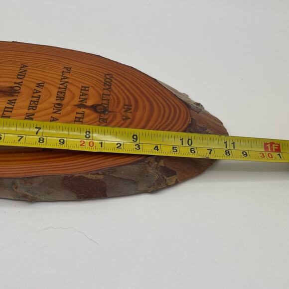 Great Smokey Mtns Wood Vine Planter from Forbidden Caverns Rustic Polished Wall - Picture 11 of 11